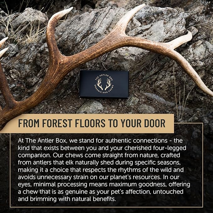The Antler Box Premium Elk Antler Dog Chews (1 Pound Box) (Large (3 Pieces) Split Only)