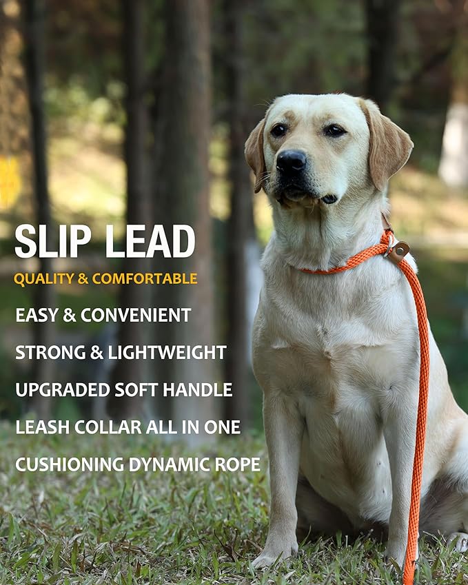 lynxking 5 FT Dog Leash Slip Lead 2 Pack Strong Heavy Duty Braided Dog Training Leash No Pull Training Lead Leashes for Medium Large and Small Dogs