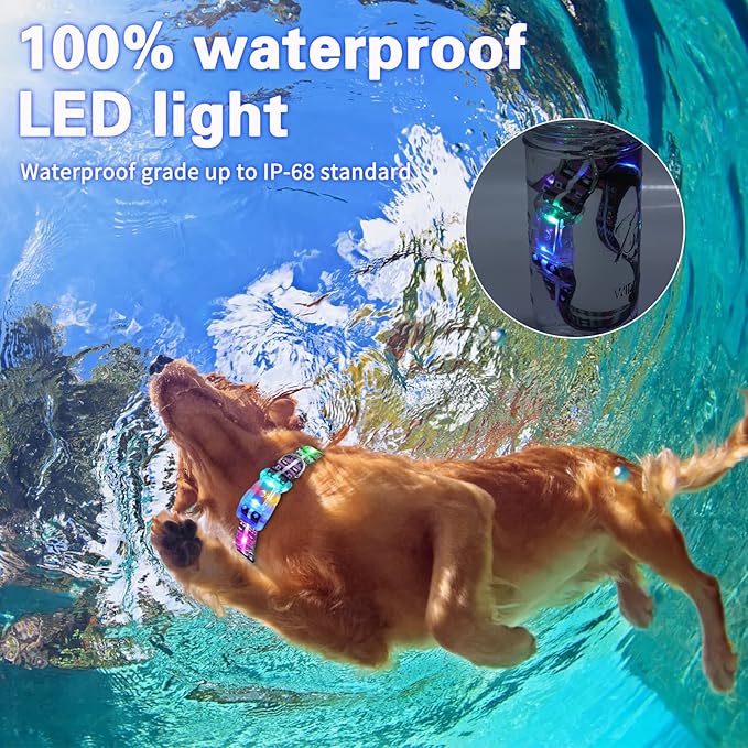 Light Up Dog Collars,LED Dog Collar Rechargeable Waterproof,2-in-1 Buckle Type Glow Collar for Medium Large Dogs- M(10-17 * 0.98 inch can be Crop