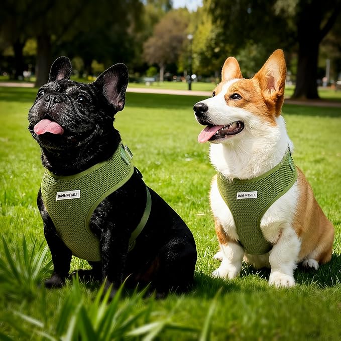 No Pull Dog Vest Harness for Small&Medium Dogs, Side Clip Adjustable Pet Vest, Soft Breathable, Fashion Dog Harnesses for Walking, Running, Shopping (Khaki Green,XS)