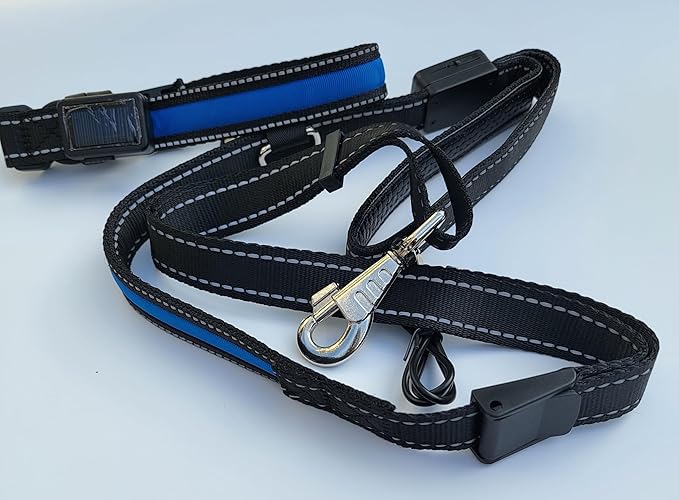 Generic LED Dog Collar and Leash Set, USB Rechargeable Color Changing, Glow in The Dark, Waterproof (Blue, Collar Large + Leash)
