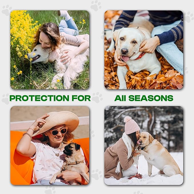 Dog Paw Balm – All-Weather Elbow, Paw & Nose Balm, Lick-Safe Natural Formula with Argan, Coconut & Olive Oils, Moisturizes & Protects Dry Paws - 2.1 oz