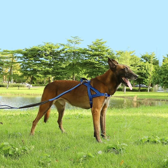 No Pull Dog Harness, Reflective Puppy Harness with Soft Padded Handle, Escape Proof/Quick Fit Adjustable Pet Harness for Small Medium Large Dogs, Easy for Training Walking (Blue, M)