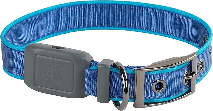 Nite Ize NiteDog Rechargeable LED Collar - Light Up Dog Collar with Durable Metal Buckle - Water-Resistant & Rechargeable Collar - Dog Supplies for Night Activities - Medium, Blue