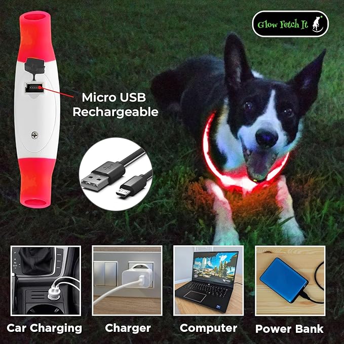 LED Dog Collar, Waterproof Light Up Dog Collar Rechargeable, Dog Safety Necklace for Night Walking, Adjustable Cut-to-Fit Silicone Collar Small Medium Large Dog 27.5” Cuttable (Red)