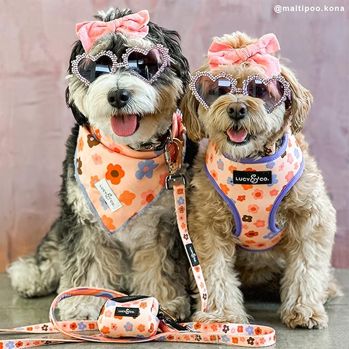 Lucy & Co. Let's Groove Bandana - Durable Comfortable Dog Bandana - Machine Washable - Designer Puppy Accessory - Small Purple Coral Floral