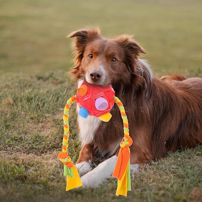 Hemoton Interactive Snuffle Dog Treat Ball Puzzle for Mental Stimulation Slow Feeder Pet Foraging Enrichment for Puppies and Adult Dogs