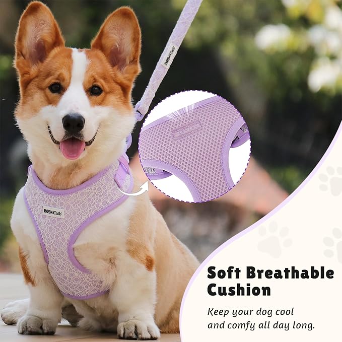 No Pull Dog Vest Harness for Small&Medium Dogs, Side Clip Adjustable Pet Vest, Soft Breathable, Fashion Dog Harnesses for Walking, Running, Shopping (Purple, M)