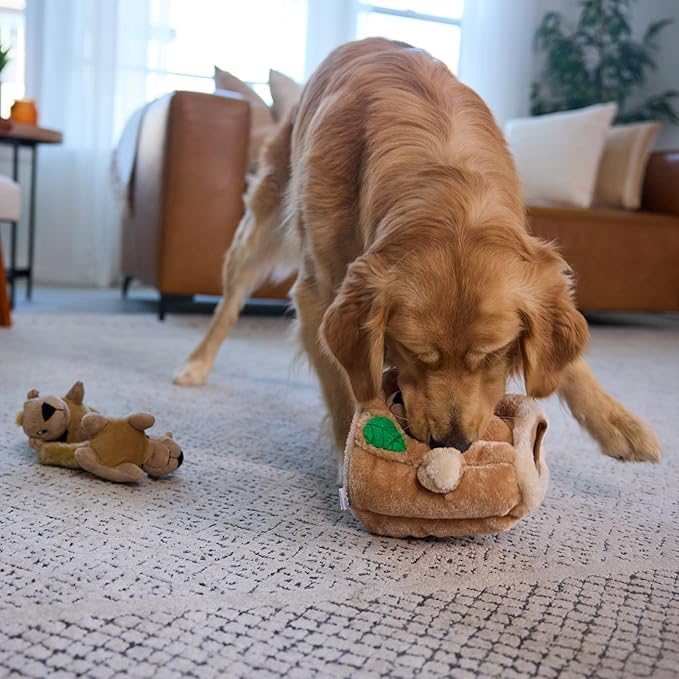 Outward Hound Hide A Squirrel Plush Dog Toy Puzzle, Large