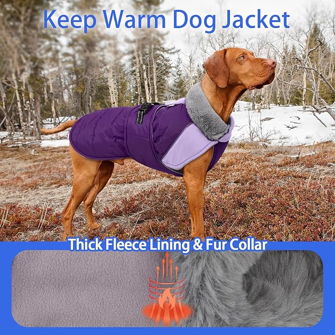 MIGOHI Comfortable Large Dog Coat - Waterproof Dog Coat with Reflective Strips,Windproof XXL Dogs Jacket with Warm Turtleneck, Snow Coats for Large Dogs,Labrador Golden Retriever,2XL,Purple