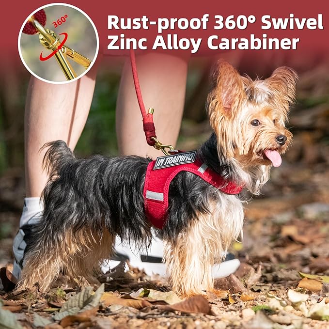 Durable Handwoven Dog Leash for Small & Medium Dogs, 5/16 inch Rope Lead with Anti-Tangle Swivel Clip, Soft & Lightweight, 5FT Long – Ideal for Daily Walking & Training (Burgundy Red)