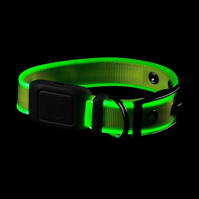 Nite Ize NiteDog Rechargeable LED Collar - Light Up Dog Collar with Durable Metal Buckle - Water-Resistant & Rechargeable Collar - Dog Supplies for Night Activities - Small, Lime