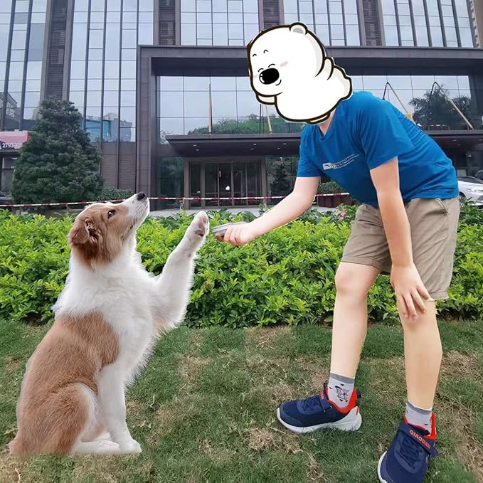 Dog Scent Work tins Nose Scent Training Kit Magnetic Dots Scent Work Training Tins Metal Box Smell Training Kit Aluminum Cans with Lids Nose Work Containers for Dogs (10 Pack)