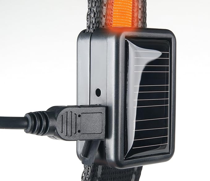 Brite Strike - LPCSU-ORANGE-MED - Solar & USB Rechargeable LED Lighted Dog Safety Collar - Make Your Dog Seen in the Dark – 2.5 Hr Run Time, Water-Resistant - Medium, Orange