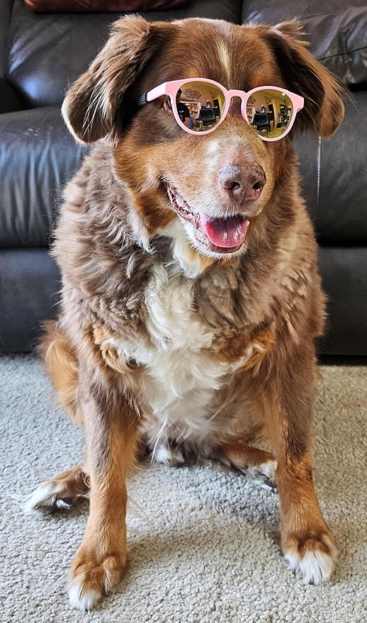 G006 Dog Pet Costume Retro 80s Sunglasses Adjustable for Medium Breed 20-40 lbs Party Prop Cosplay Photoshoot (Panto Pink-Pink Mirror)