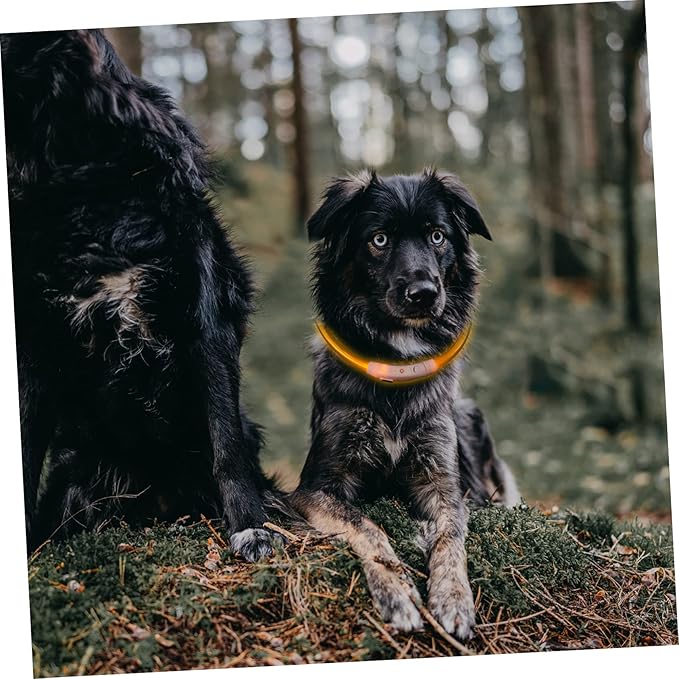 Yardwe Led Dog Collar Flashing for Night Safety USB Rechargeable Pet Collar Clip Reflective Harness for Dogs Puppies