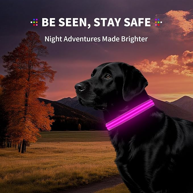 LED Dog Collar with Metal Buckle - USB Rechargeable Glow Collar for Dogs, Waterproof Light Up Dog Collar w/Reflective Strips - Adjustable Night Safety Collars by PetIsay(Pink, Small)