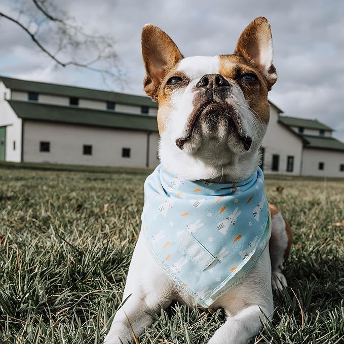 Lucy & Co. Funny Bunny Bandana - Durable Comfortable Dog Bandana - Designer Puppy Accessory - Machine Washable - Large - Blue Green Bunnies Plaid