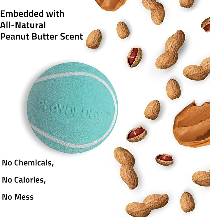 Playology Dog Toys | Squeaky Chew Ball - Bouncy Durable Floating Fetch Ball for Dogs, Value 3-Pack | Small Peanut Butter Scented Toy - Easy to Clean and Made from Non Toxic Materials