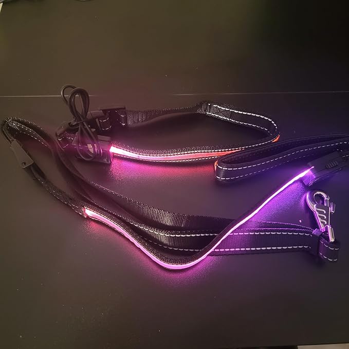 LED Dog Collar and Leash Light USB Rechargeable Color Changing, Glow in The Dark Dog Collars and Leash Waterproof (Pink, Collar Small + Leash)