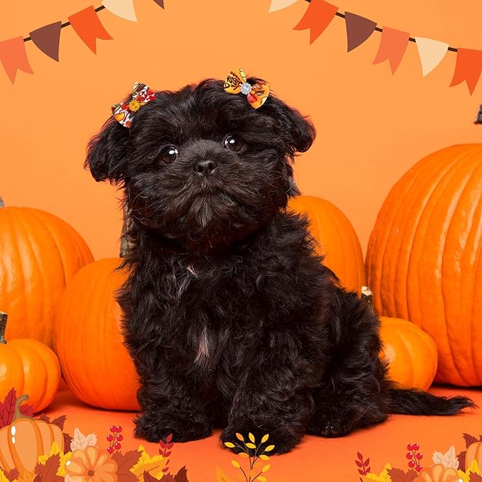 Tondiamo 100 Pack Thanksgiving Dog Hair Bows with Rubber Bands Puppy Rhinestone Grooming Pumpkin Turkey Pattern Accessories for Small Girl