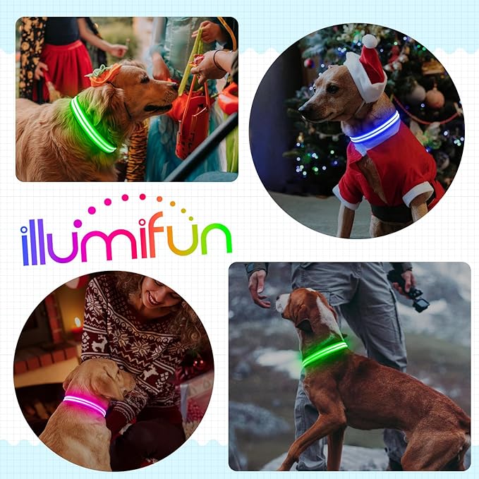 Illumifun Light Up Dog Collar, Rechargeable Water-Resistant LED Dog Collar Glow in The Dark, Flashing Lighted Collars for Pet Walking at Night (Blue, Small)