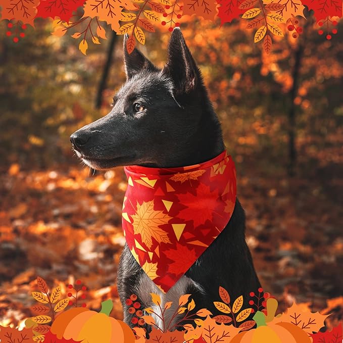 Preboun 50 Pcs Fall Thanksgiving Dog Bandana Bulk Pumpkin Maple Leaves Bandana for Dogs Triangle Kerchief Bib Scarf for Pets Costume Photo Props Accessories Pet Shops, 25 Styles (31.5 x 21.7 x 21.7)