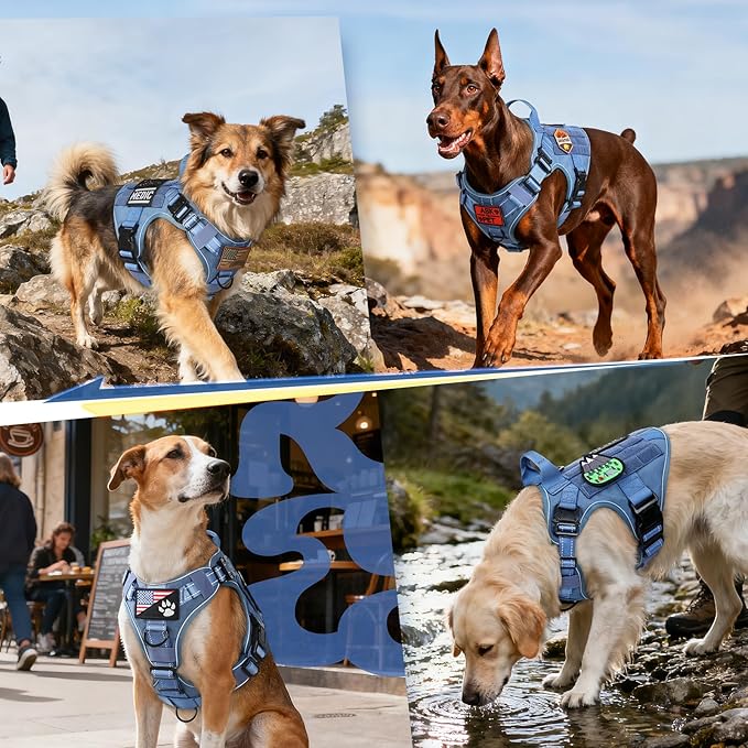 rabbitgoo Tactical Dog Harness Small Sized, No Pull Upgraded Reflective Heavy Duty Molle Vest with Handle, Adjustable Military Service Dog Vest for Walking Hiking Training, Blue, S