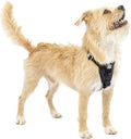 Kurgo Enhanced Strength Tru-Fit Dog Car Harness - Pet Travel Safety Harness - Crash Test Certified Fit - Five Point Adjustment - Secure Buckle - Padded Chest - Black - X-Small