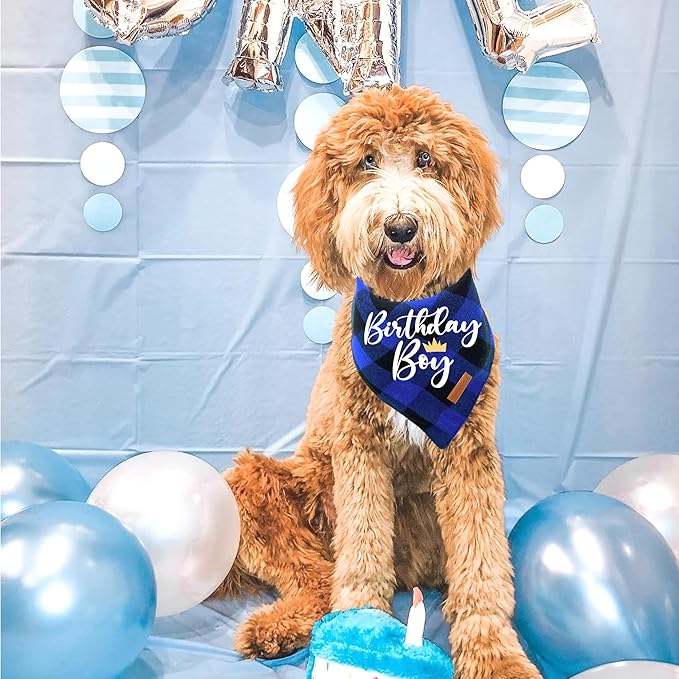 Realeaf Birthday Boy Dog Bandana, Dog Birthday Party Supplies,Premium Durable Fabric,Buffalo Bandana for Large and Extra Large Dogs (Blue Paid, X-Large)