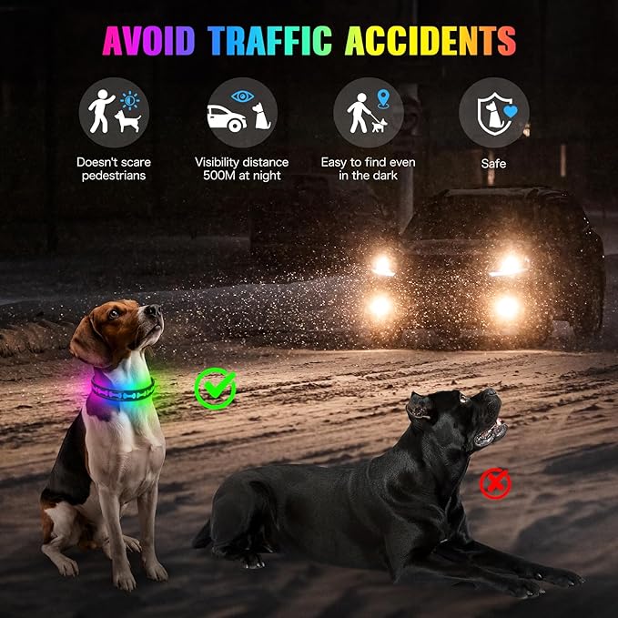 Flashseen LED Dog Collar Light Up USB-C Rechargeable, RGB 7 Colors 3 Modes Glow in The Dark Collar, Adjustable 360° Visibility Glowing Collars for Night Walking for Dogs (Grey, Small)