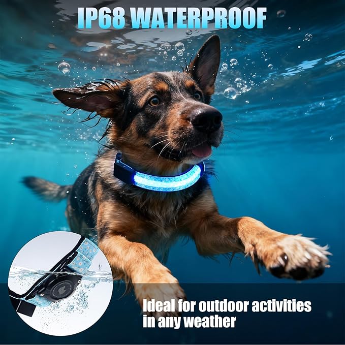 LED AirTag Dog Collar - Brightest Light Up Dog Collars - IP68 Waterproof Air Tag Dog Collar Holder - 1,600 Feet of High Visibility - Magnetic Charging - Dog Lights for Night Walking (Daisy, M)
