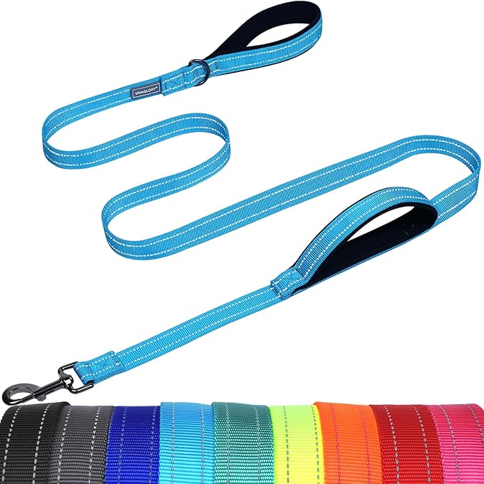 VIVAGLORY Twingrip Dog Leash, Double Handle Dog Leash for Training & Walking with Traffic Handle & 2 Loop, Traffic Control Reflective Heavy Duty for Puppy Pet, 6ft x 1in, Lake Blue