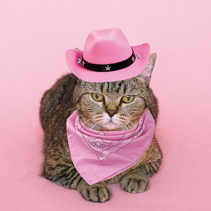 Dog Cowboy Hat and Bandana Scarf Dog Cat Sombrero Puppy Hat Dog Cat Costume Cosplay Cap Puppy Pet Dog Cat Holiday Pet Party Decoration (Pink)