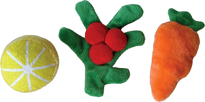 fouFit FouFouBrands Hide n Seek Turkey Burrow Nosework Dog Toy