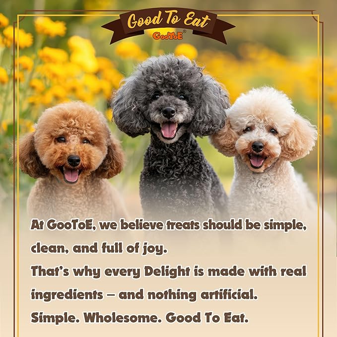 Gootoe Turkey Tendons for Dogs – All-Natural, Hypoallergenic Dog Treats, Rawhide Alternative, Long Lasting Puppy Chews, Healthy Dog Treats for Small Breeds, Bone (S), 16 oz Pack (1 lb)
