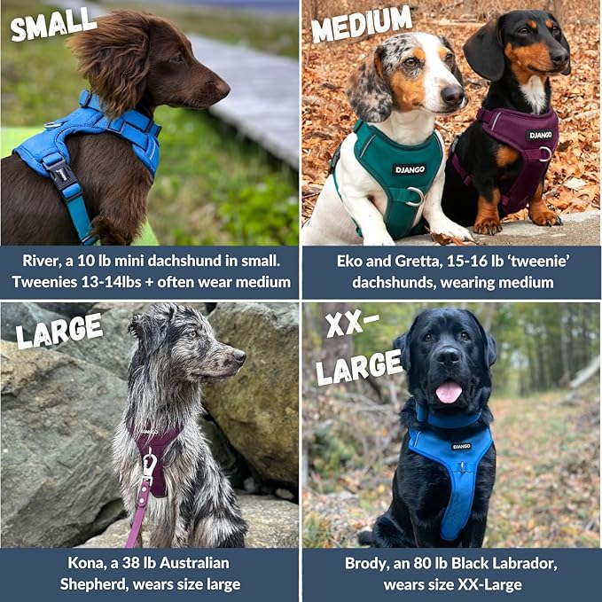 DJANGO Tahoe No Pull Dog Harness – Escape-Proof Dog Harness for Small & Medium with Front & Back Clips for Everyday Use – Adjustable, Padded, Reflective, Secure Fit, Easy On/Off – Dark Teal, Medium
