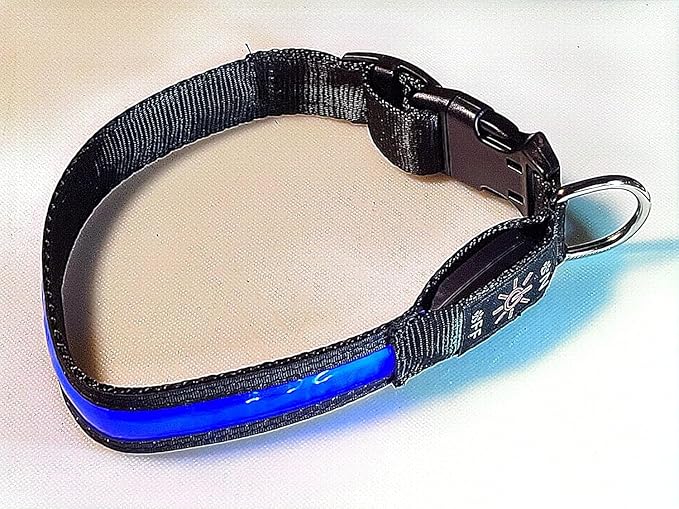 Glow Fetch It! HD Ultra Bright LED Safety Dog Collar, Adjustable, USB Rechargeable with 3 Modes, Water Resistant, Extremely Durable and Easy to Clean (Blue, Large)