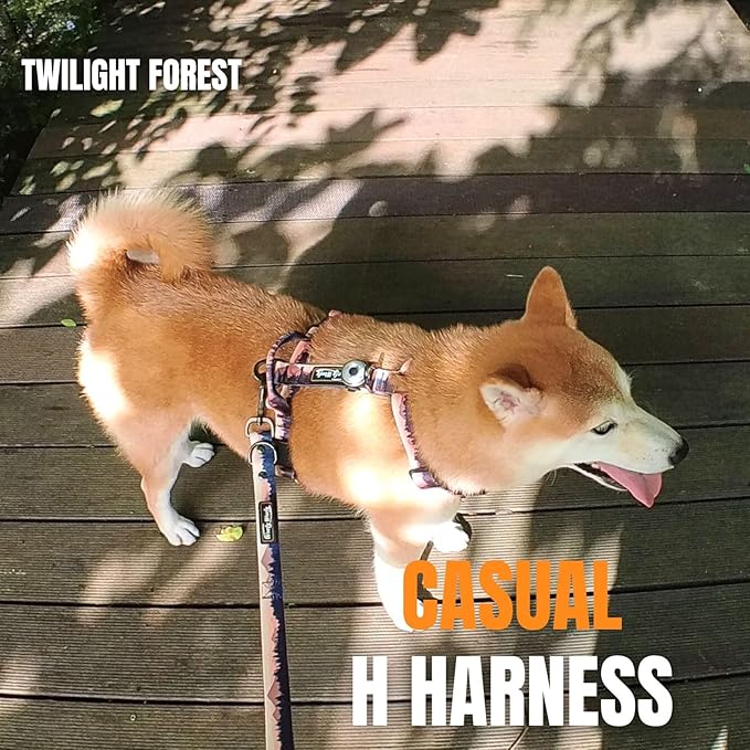 Casual H Dog Harness, No-Pull Pet Harness with 2 Leash Clips, Twilight Forest Gradiant Color, Adjustable Soft Padded Dog Vest for Small Medium Large Dogs (M)