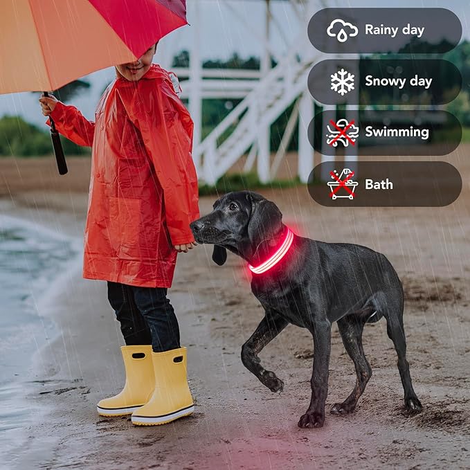 Light Up Dog Collars Rechargeable, Reflective LED Glow Dark Dog Collar for Small Medium Large Dogs, Adjustable Pet Dog Lights for Safe Night Walk-Pink, Small