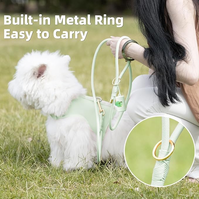 Durable Handwoven Dog Leash for Small & Medium Dogs, 5/16 inch Rope Lead with Anti-Tangle Swivel Clip, Soft & Lightweight, 5FT Long – Ideal for Daily Walking & Training (Light Green)