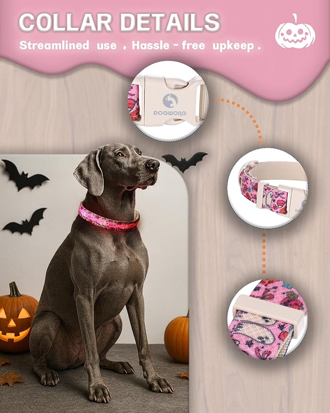 DOGWONG LED Dog Collar - Heavy Duty Light up Collars - Rechargeable Waterproof - Lighted Dog Collar for Night Walking, Hiking, Camping(Pink Ghost,M)