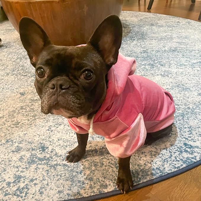 BEAUTYZOO Dog Hoodie Sweaters for Small Medium Dogs- Warm Fall Winter Fleece Jacket for Cold Weather, Soft Velour Hooded Coat with Leash Hole & Pocket, Puppy Sweatshirt Clothes Bulldog Schnauzer, Pink