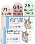 Basepaws Cat DNA Test Kit 2 Pack - 21+ Breeds, 114+ Health and Dental Traits for Comprehensive Accurate and Easy-to-Use Genetic Insights