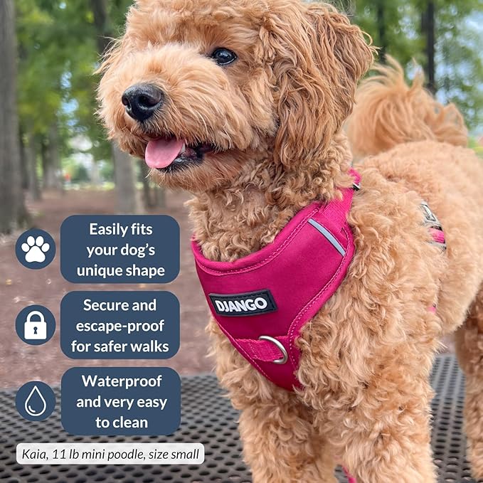DJANGO Tahoe No Pull Dog Harness – Escape-Proof Dog Harness for Small Dogs with Front & Back Clips for Everyday Use – Adjustable, Padded, Reflective, Secure Fit, Easy On/Off – Hibiscus Pink, Small
