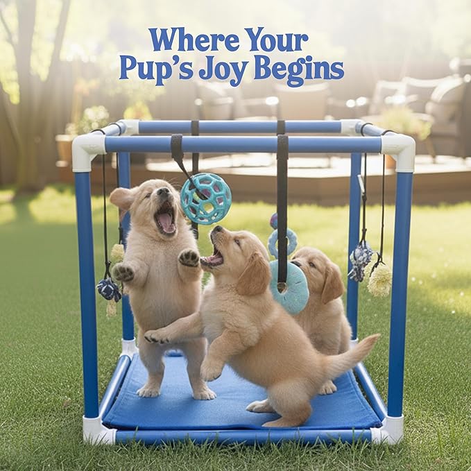Race&Herd Puppy Play Gym, Dog Play Mat, 8 Bungee Straps Interactive Puppy Active Toys - Small Dog Jungle Gym 19.5" Frame with Playground Set Indoor Enrichment Activity Center (Yellow)
