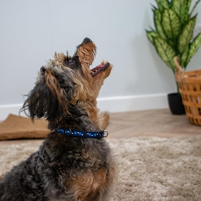 Ancol Small Bite Stars Collar and Lead Set Blue Adjustable Design for Puppies and Small Dogs - 1m Lead with Soft Webbing - 20-30cm