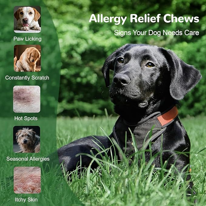 Dog Allergy Relief Chews, Dog Itch Relief Chews for Large Dogs Paw Licking Itchy Skin, Probiotics with Astragalus Omega-3 for Seasonal Allergies Coat Immune Supplement-300ct