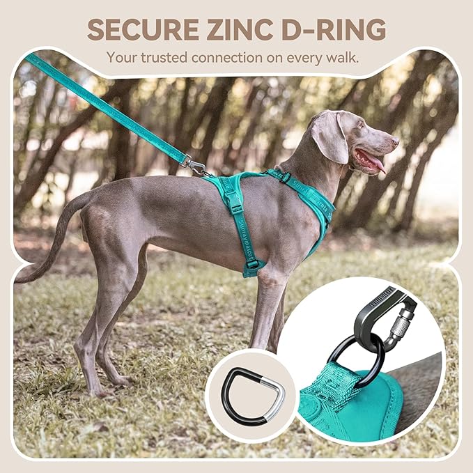 No Pull Dog Harness with Lycra, Three-Point Force Dispersion & 3D Padding, Adjustable Breathable Mesh for Small Medium Large Dogs(MARRS Green,XS)