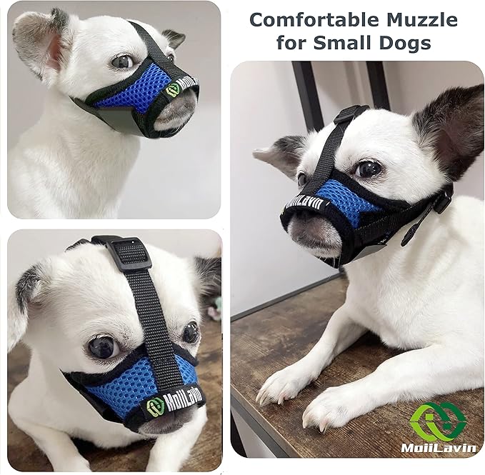 Dog Muzzle for Small Dogs XS for Grooming Barking Chewing, Barkless Soft Mesh Muzzles to Prevent Eating Poops,Best for Aggressive Dogs(Comfy-Blue)
